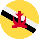 Brunei Dollar (BND)