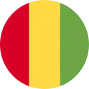 Guinean Franc (GNF)