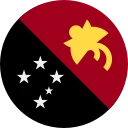 Papua New Guinean Kina (PGK)